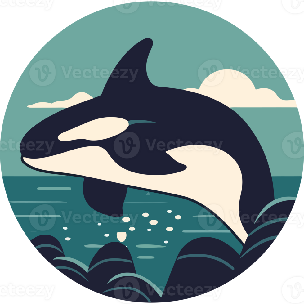 An orca whale jumping out of the water png