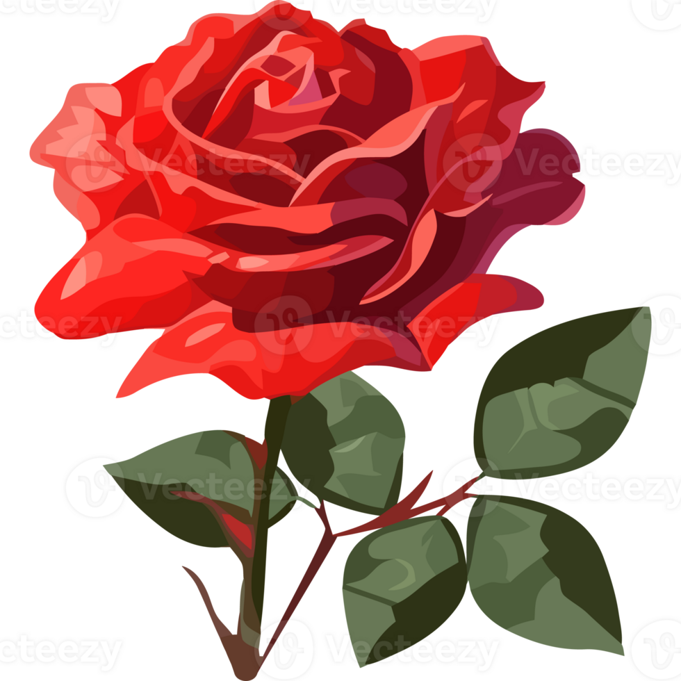 Red rose clipart png