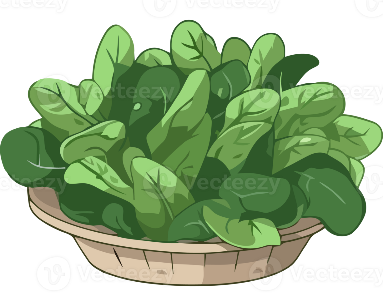 A basket of spinach is shown in this illustration png