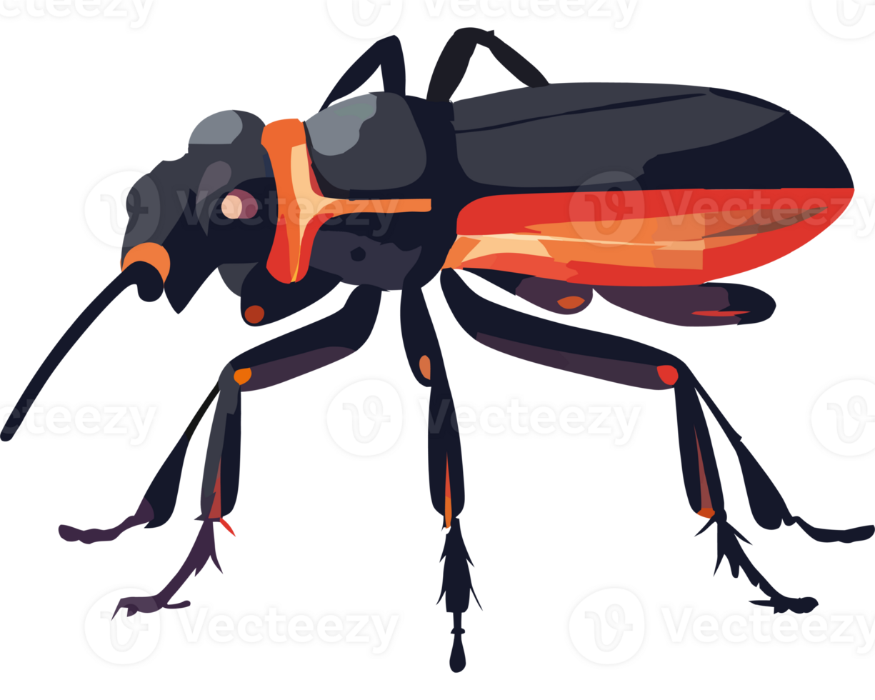 An insect with orange and black stripes png