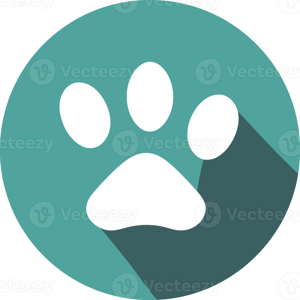 A dog paw icon on a turquoise background png
