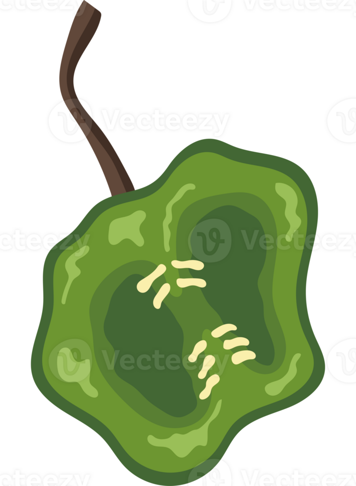 A green apple with a hole in it png