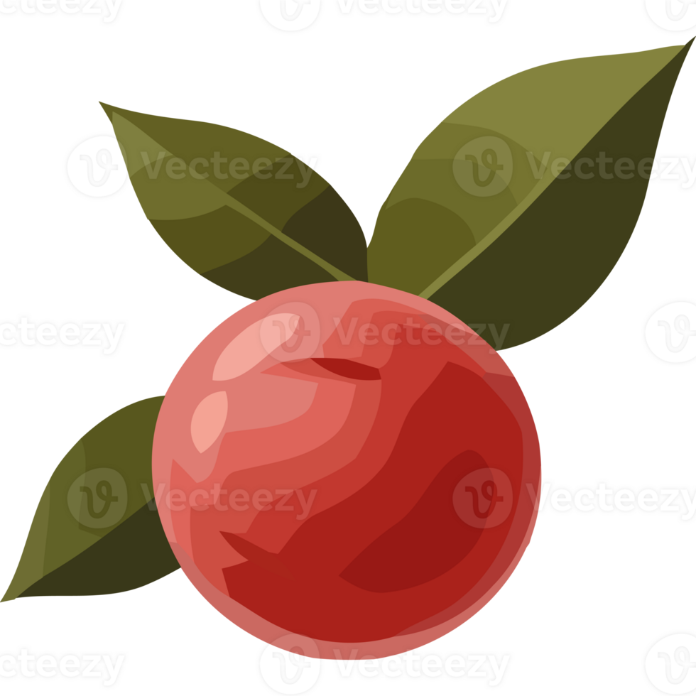 A peach with leaves on it png