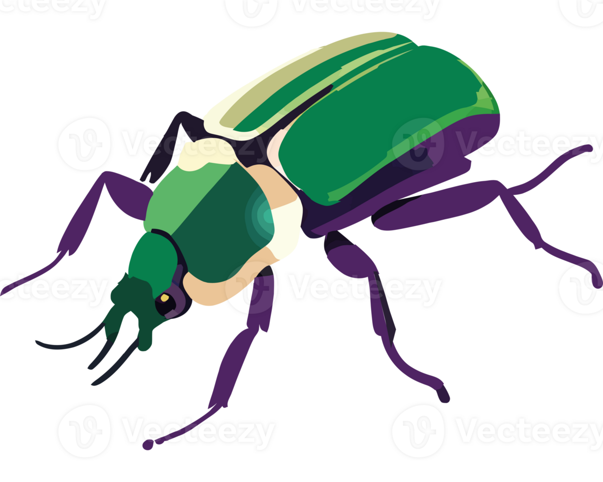 A green beetle with a purple and green body 49503530 PNG A green beetle with a purple and green body 49503530 PNG