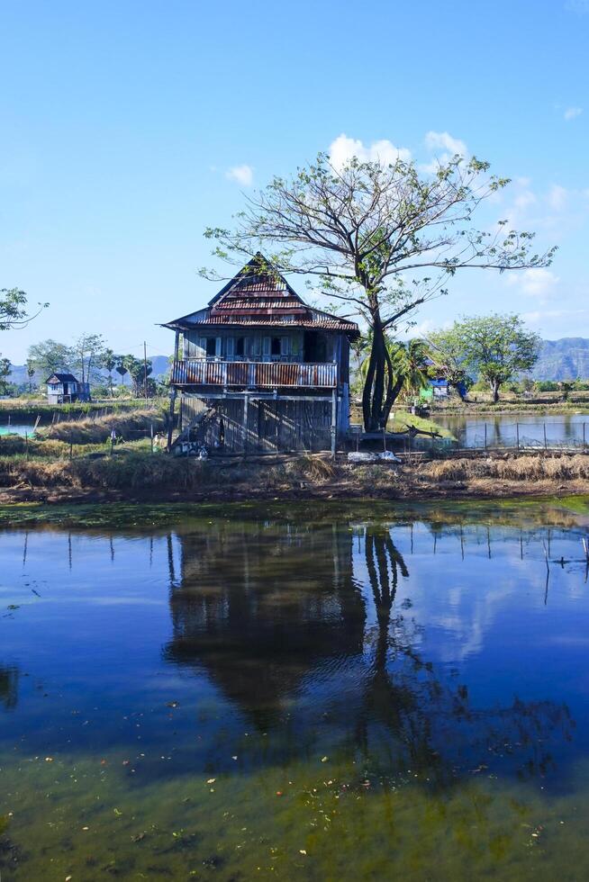 Trees and huts on the edge of the pond embankment that reflect shadows photo