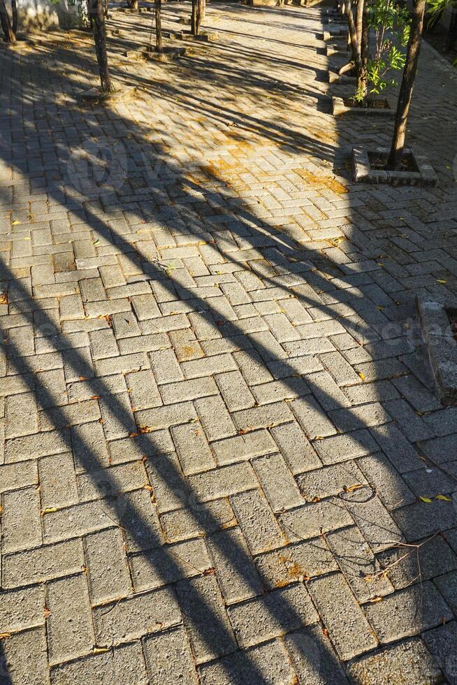 the texture of the bricks in the garden and the shadows of the trees make the heart peaceful photo