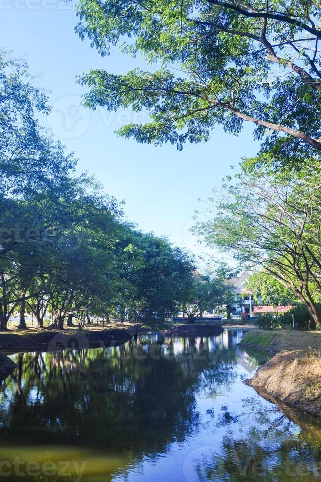 views of the river and shady trees that cast shadows on the water, on a sunny day photo