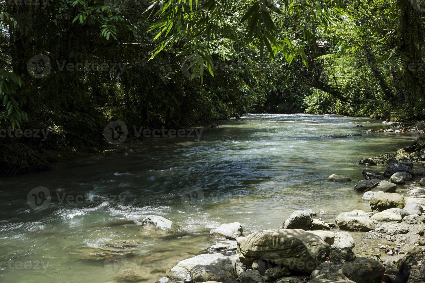view of river water flowing fast in the middle of the forest photo