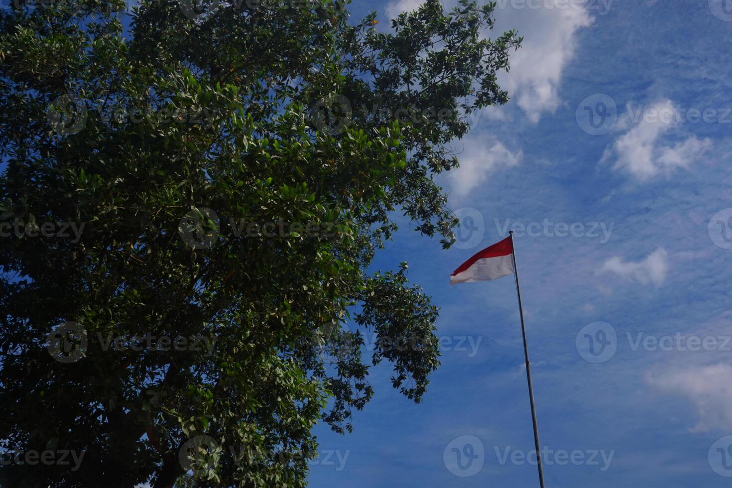 The red and white flag of Indonesia flutters among the trees against the blue sky photo