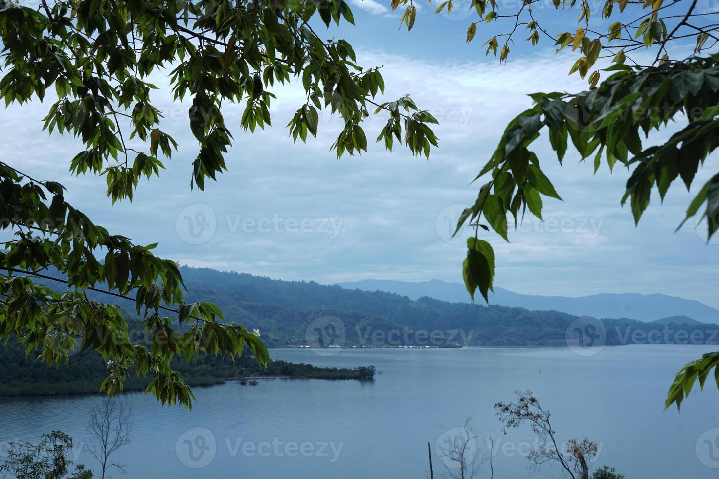 views of shady trees and the sea on a clear day against a new sky photo