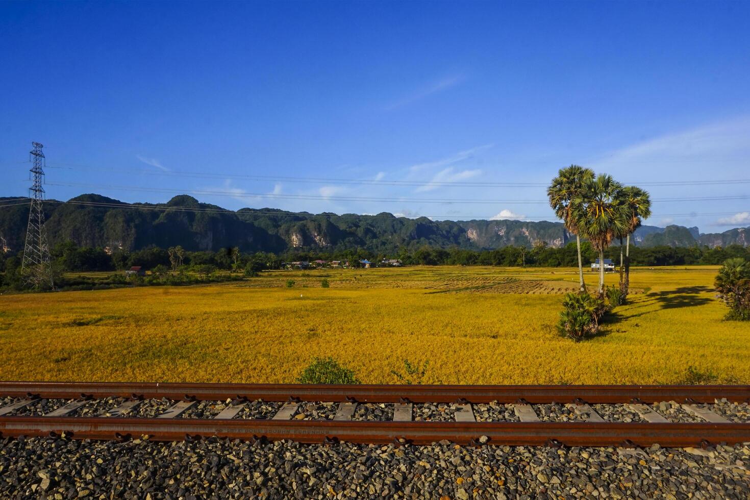 The view of the train tracks in the morning in rural Indonesia creates a romantic atmosphere photo