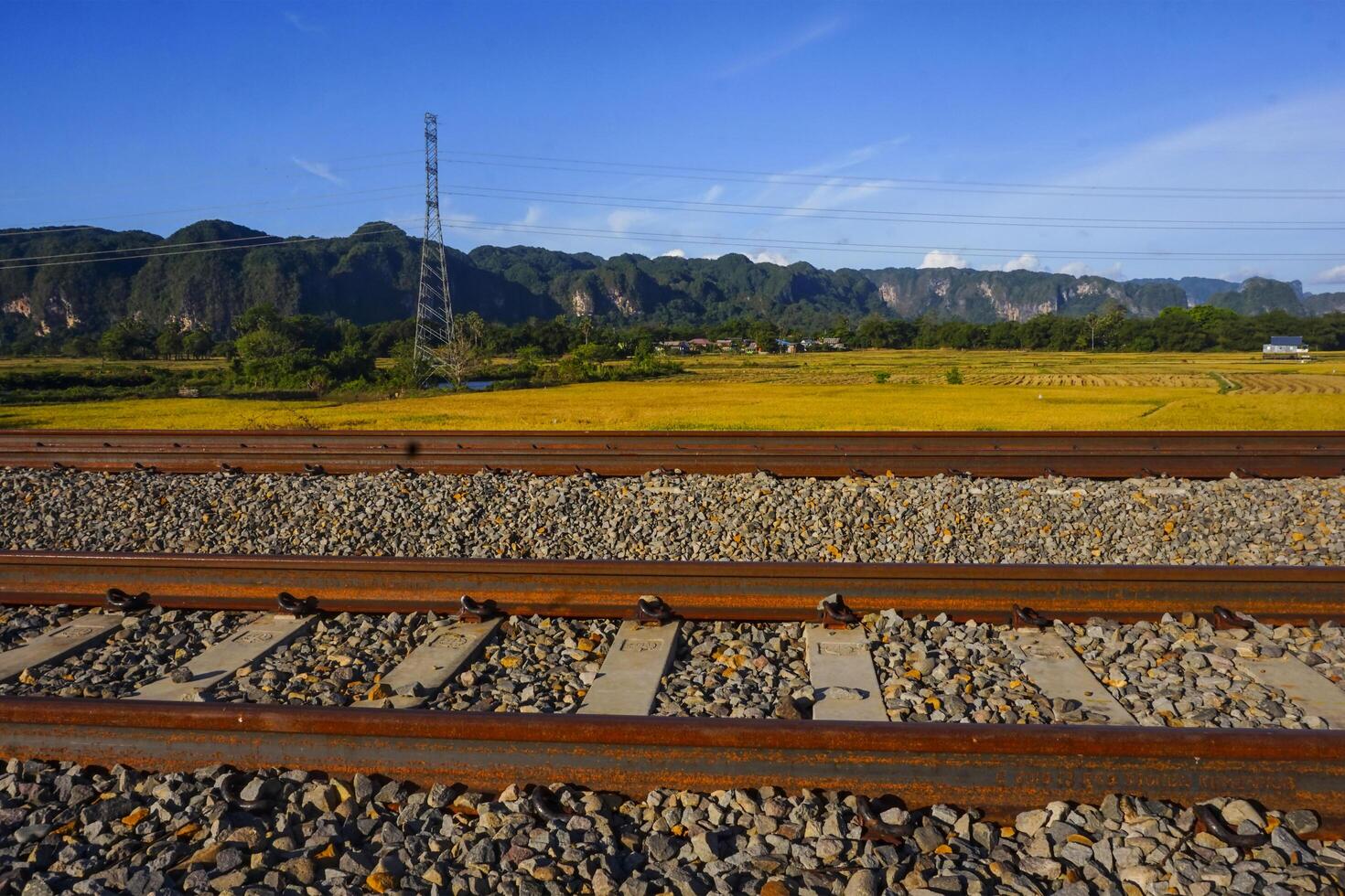 The view of the train tracks in the morning in rural Indonesia creates a romantic atmosphere photo