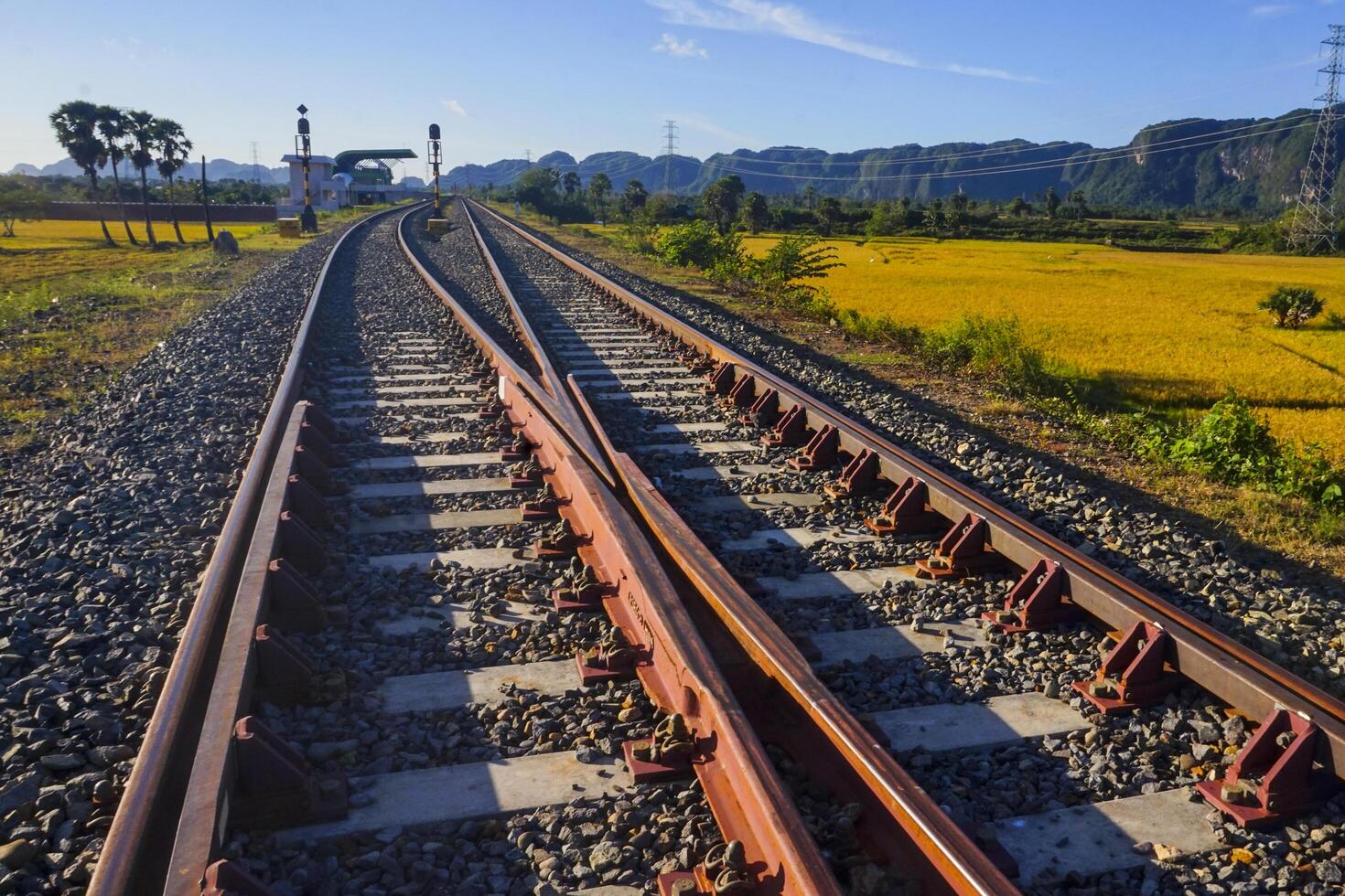 The view of the train tracks in the morning in rural Indonesia creates a romantic atmosphere photo
