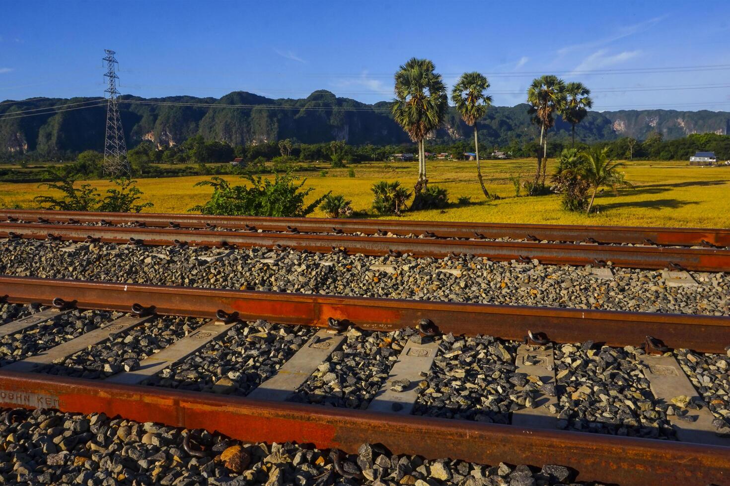 The view of the train tracks in the morning in rural Indonesia creates a romantic atmosphere photo