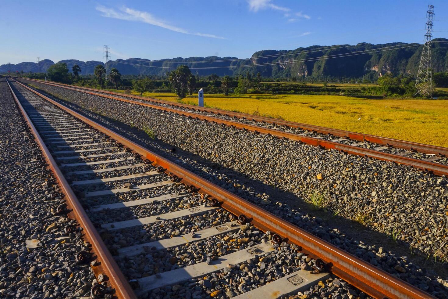 The view of the train tracks in the morning in rural Indonesia creates a romantic atmosphere photo