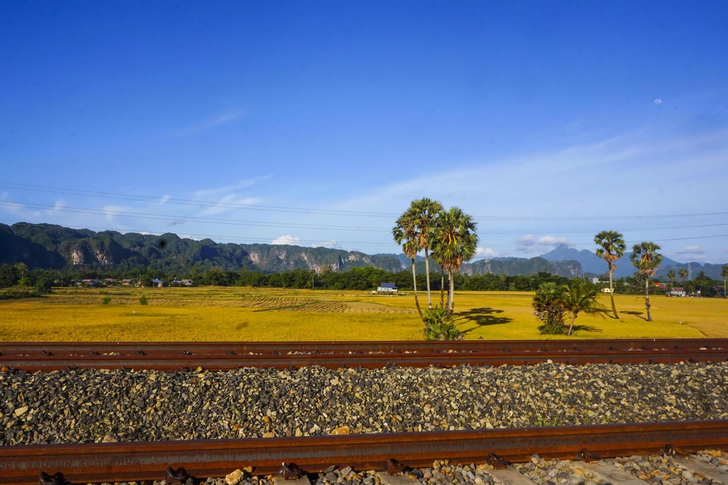 The view of the train tracks in the morning in rural Indonesia creates a romantic atmosphere photo