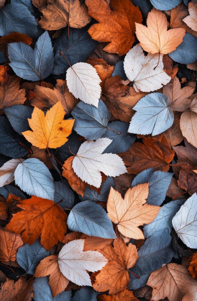 Colorful autumn leaves scattered on the ground during a sunny day in a forest photo
