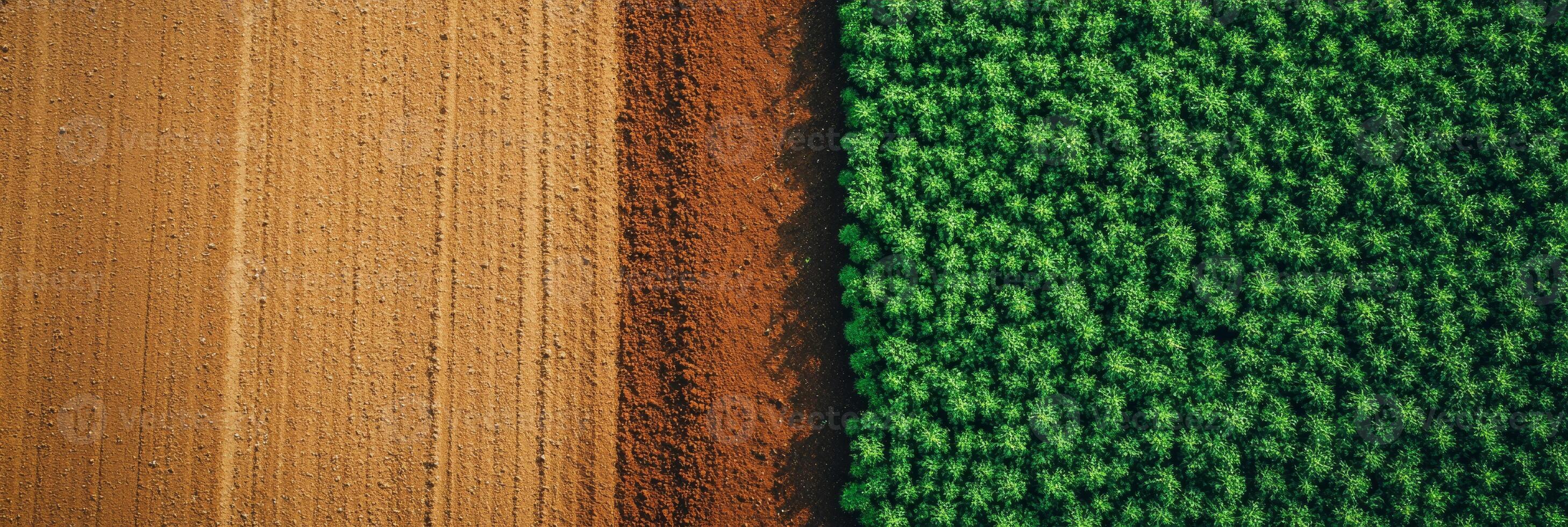An expansive aerial view beautifully showcases vibrant green crops alongside freshly plowed earth, revealing intricate agricultural textures and stunning natural patterns that nature has created photo
