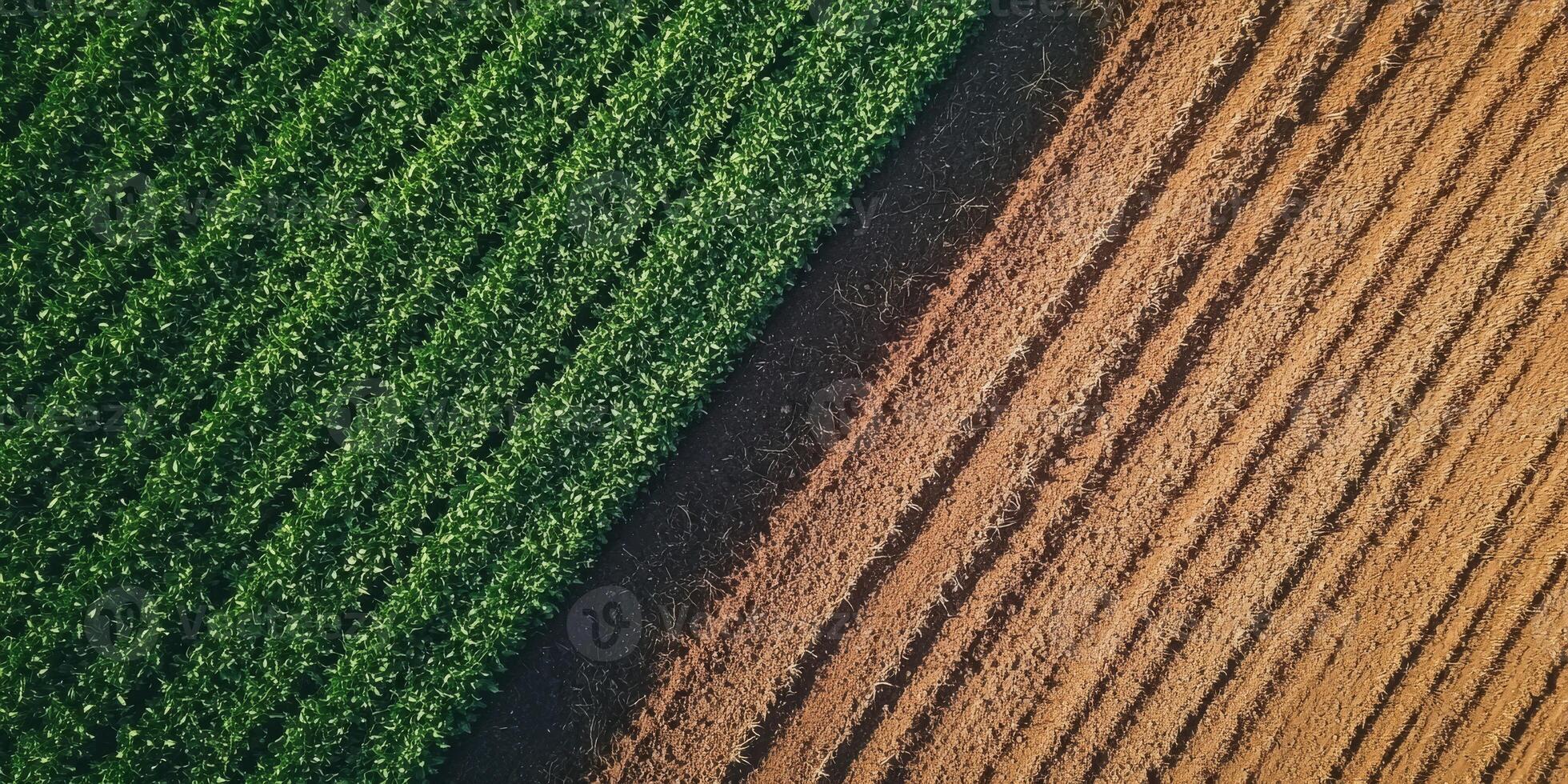 This stunning aerial photo shows a vibrant green crop field beside freshly plowed brown land, highlighting the contrasts and textures of modern agriculture and the diversity in color and form