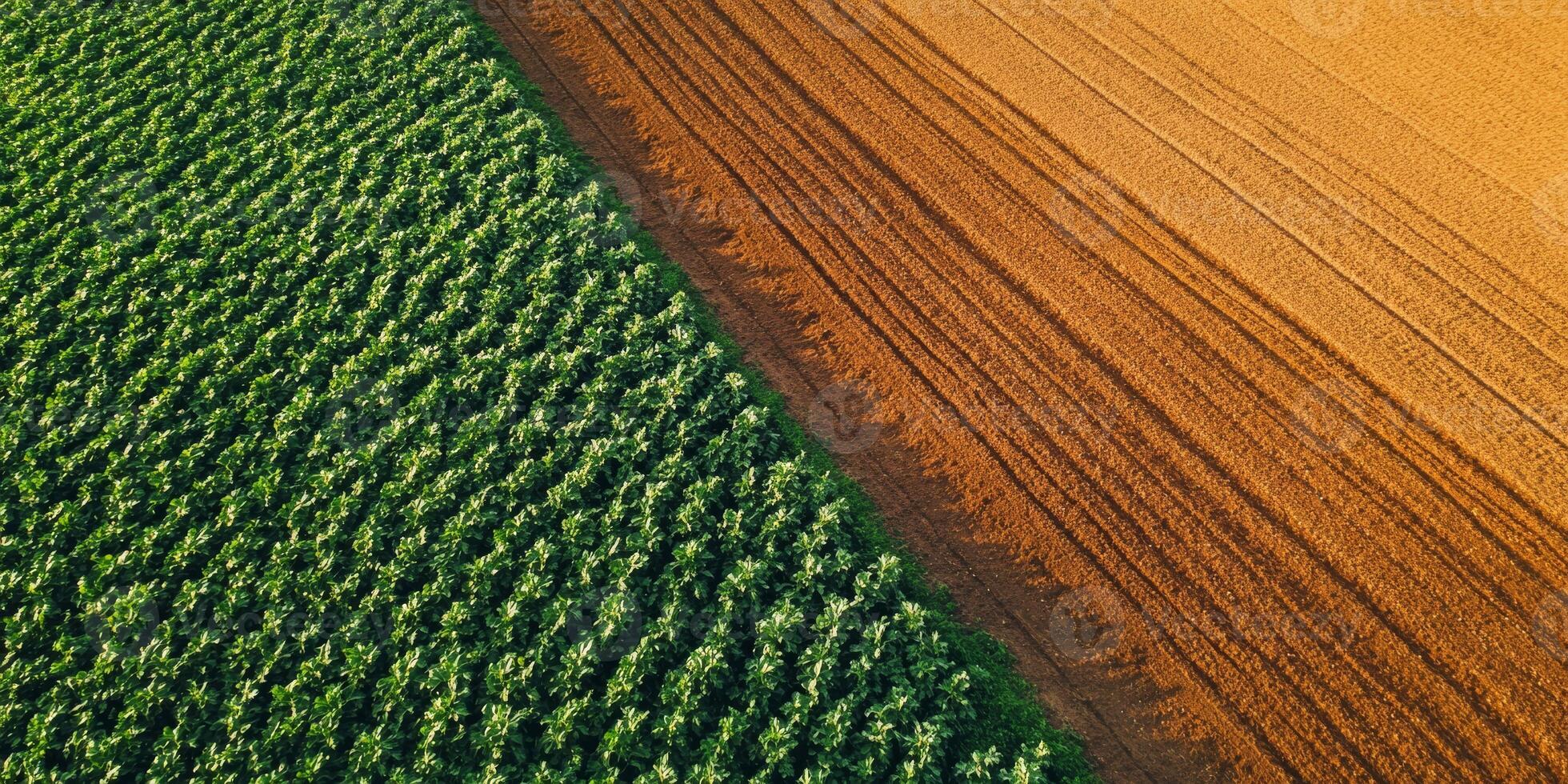 The aerial view highlights vibrant green crop fields contrasting with freshly plowed brown soil, showcasing the diverse and captivating agricultural landscapes of this picturesque region photo