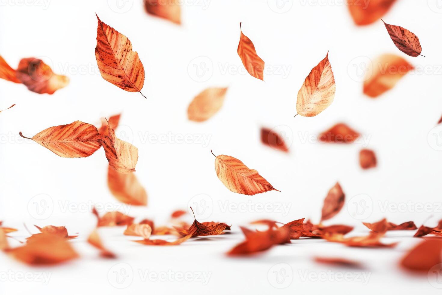 As autumn leaves float through the cool air, they create a serene atmosphere. This scene captures the essence of fall with rich colors and textures, enhancing our seasonal experience photo