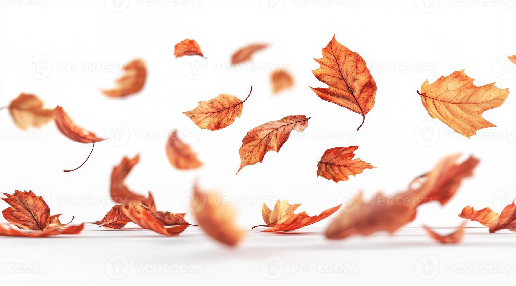 A beautiful and vibrant collection of autumn leaves, each one gracefully floating against a crisp white backdrop, perfectly capturing the essence and spirit of the enchanting fall season photo