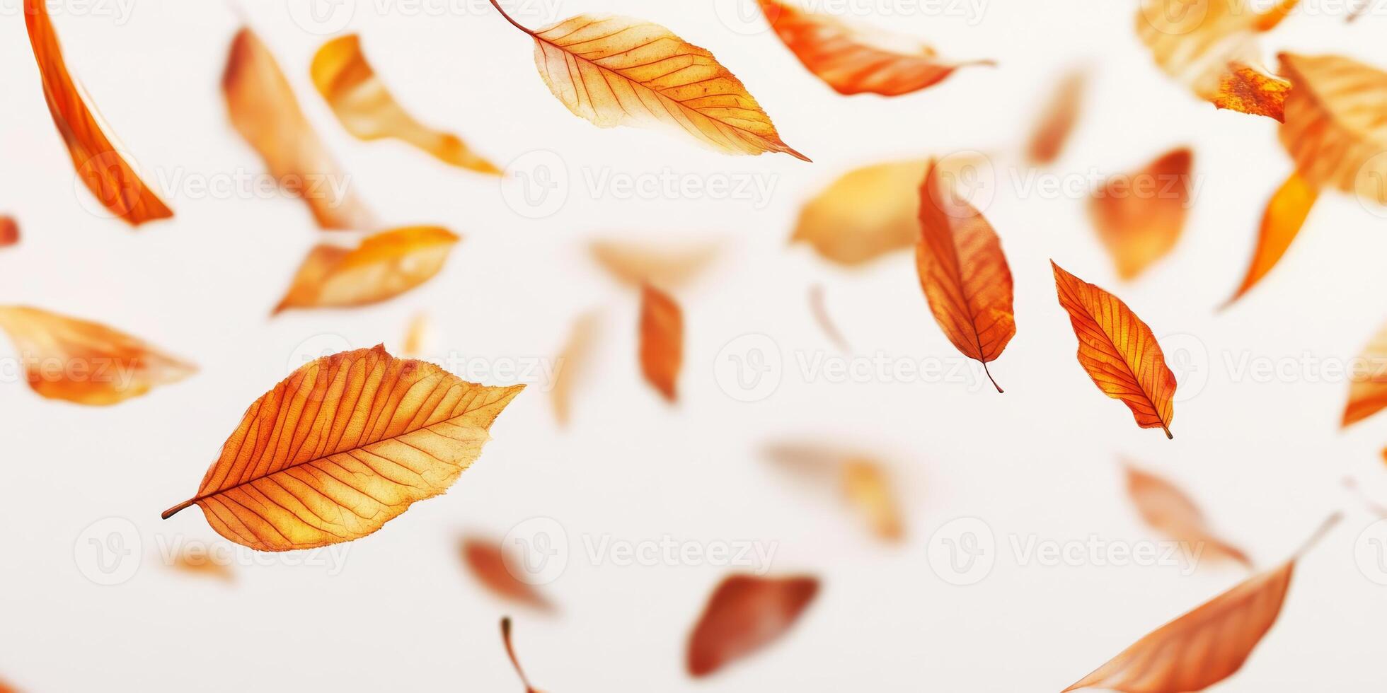 A stunningly beautiful display of vibrant autumn leaves, gracefully floating against a pure, clean white background, capturing the true essence of fall and the remarkable transition of nature photo