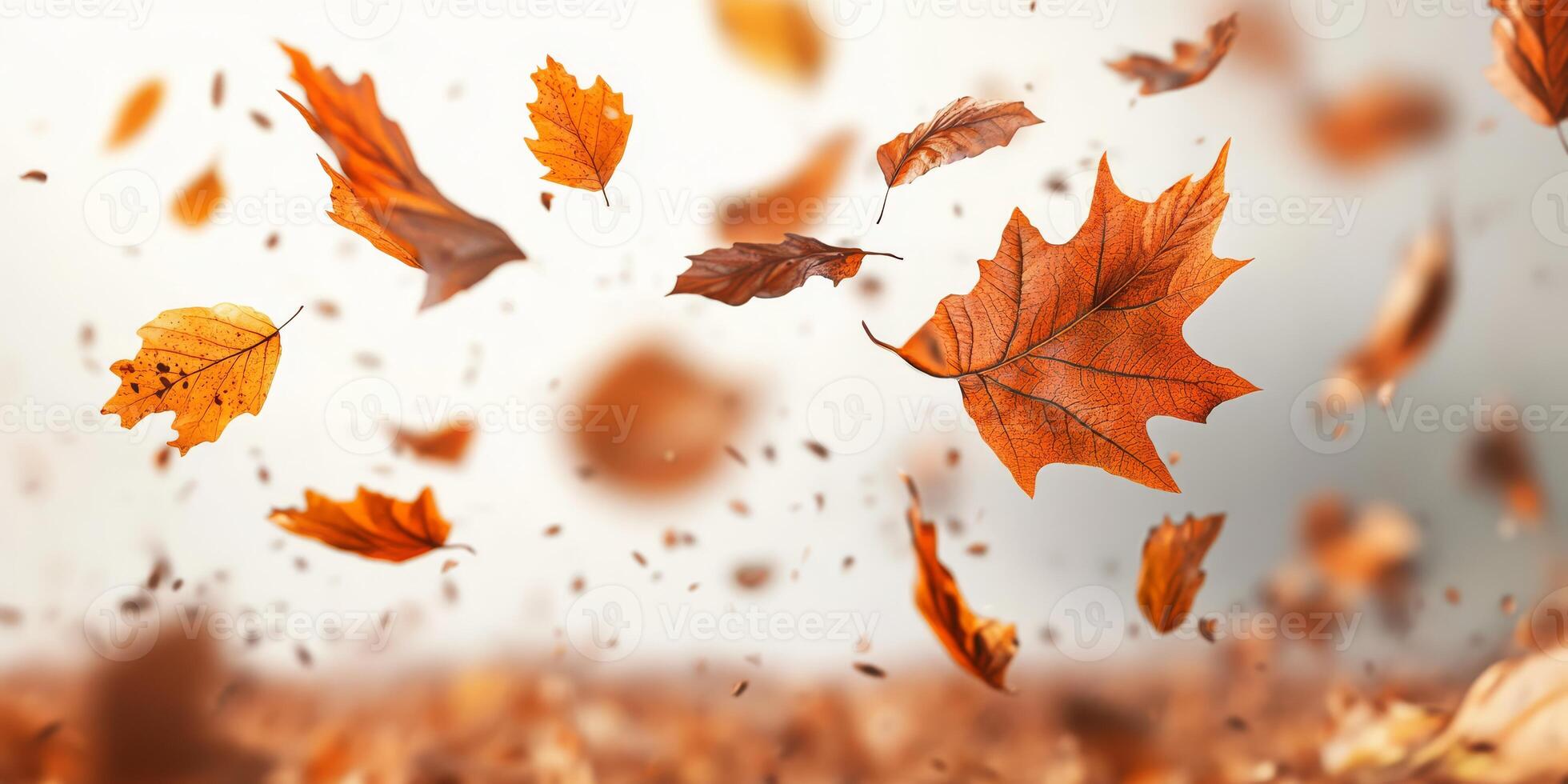 A stunningly beautiful display of vibrant autumn leaves gently and gracefully floating against a soft, pure white background, perfectly capturing the true essence of the fall season photo