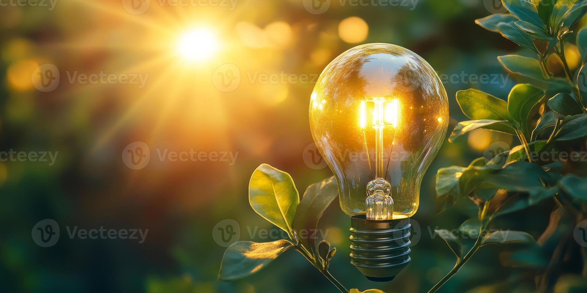 By exploring renewable energy sources such as solar and wind power, we can effectively promote environmental stewardship, leading to a cleaner and healthier planet for future generations photo