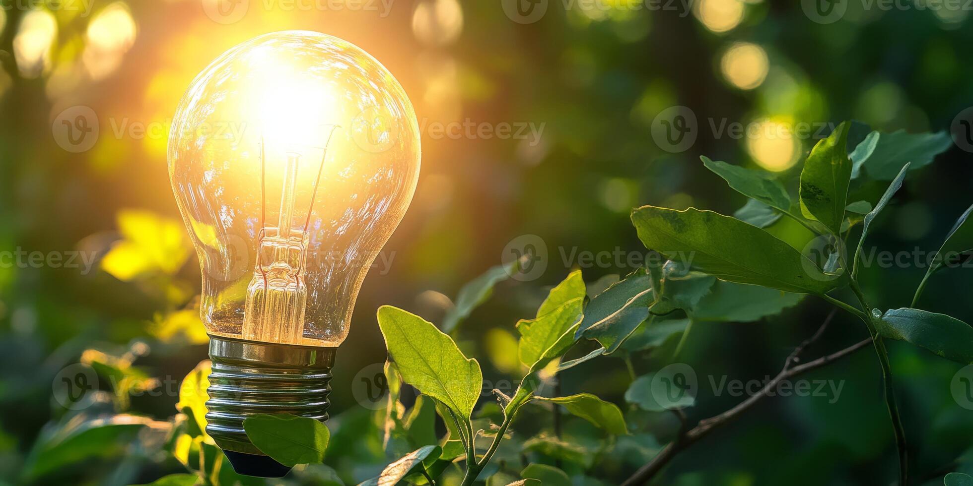 Explore the vast potential of green energy and renewable resources, promoting environmental care and greatly aiding the shift towards cleaner energy solutions for a more sustainable future for all photo