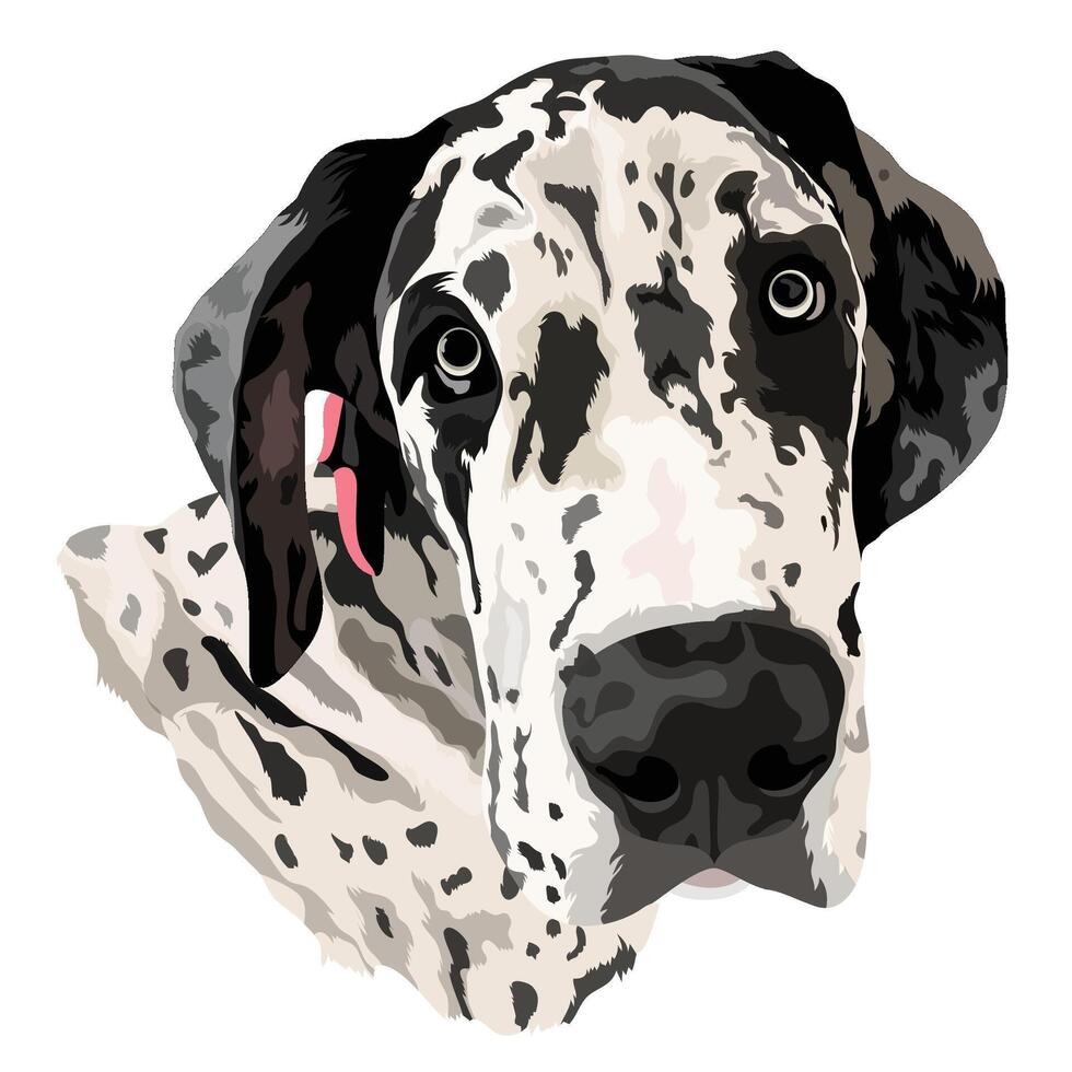 Dog Head ArtWork vector
