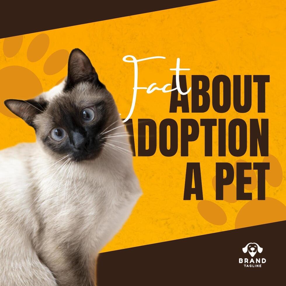 Adoption Instagram Post Caraousel template
