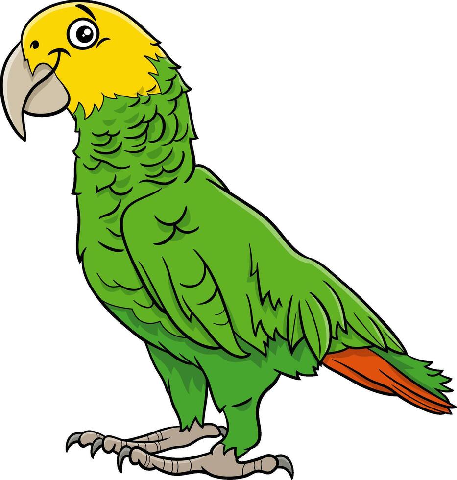 cartoon yellow headed Amazon parrot bird animal character vector