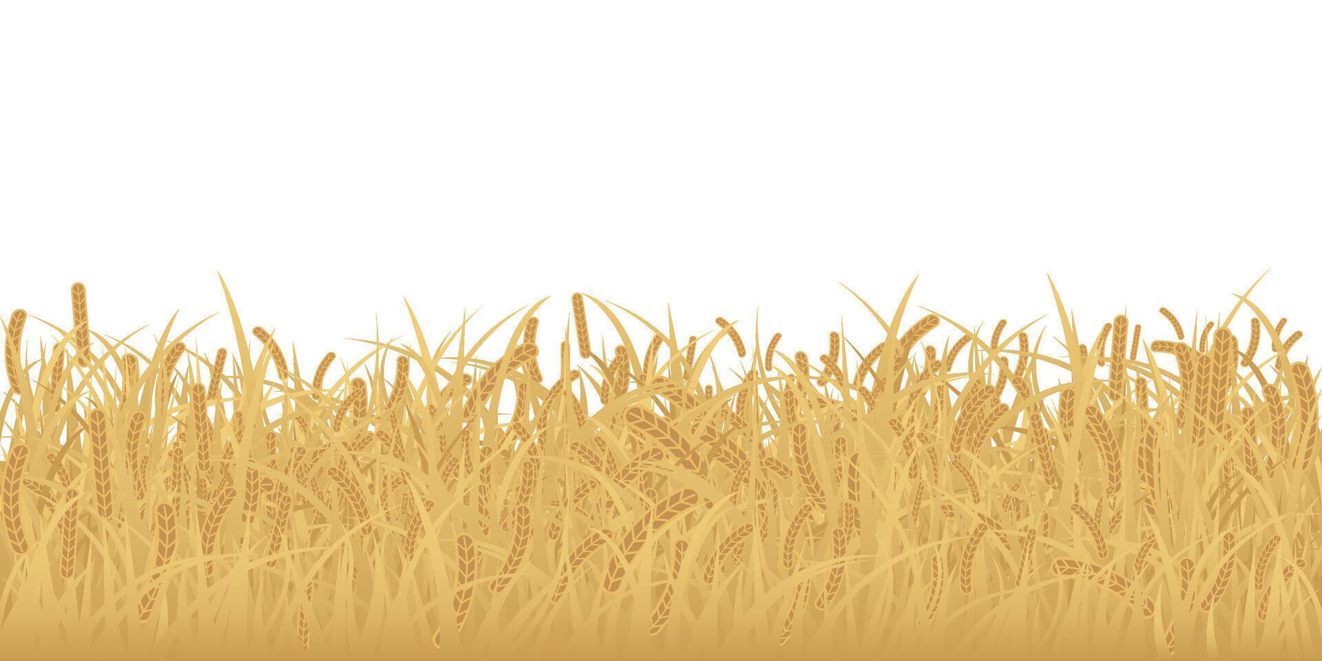 Wheat field isolated flat design graphic illustrated on white background. Rice field side view object template. vector