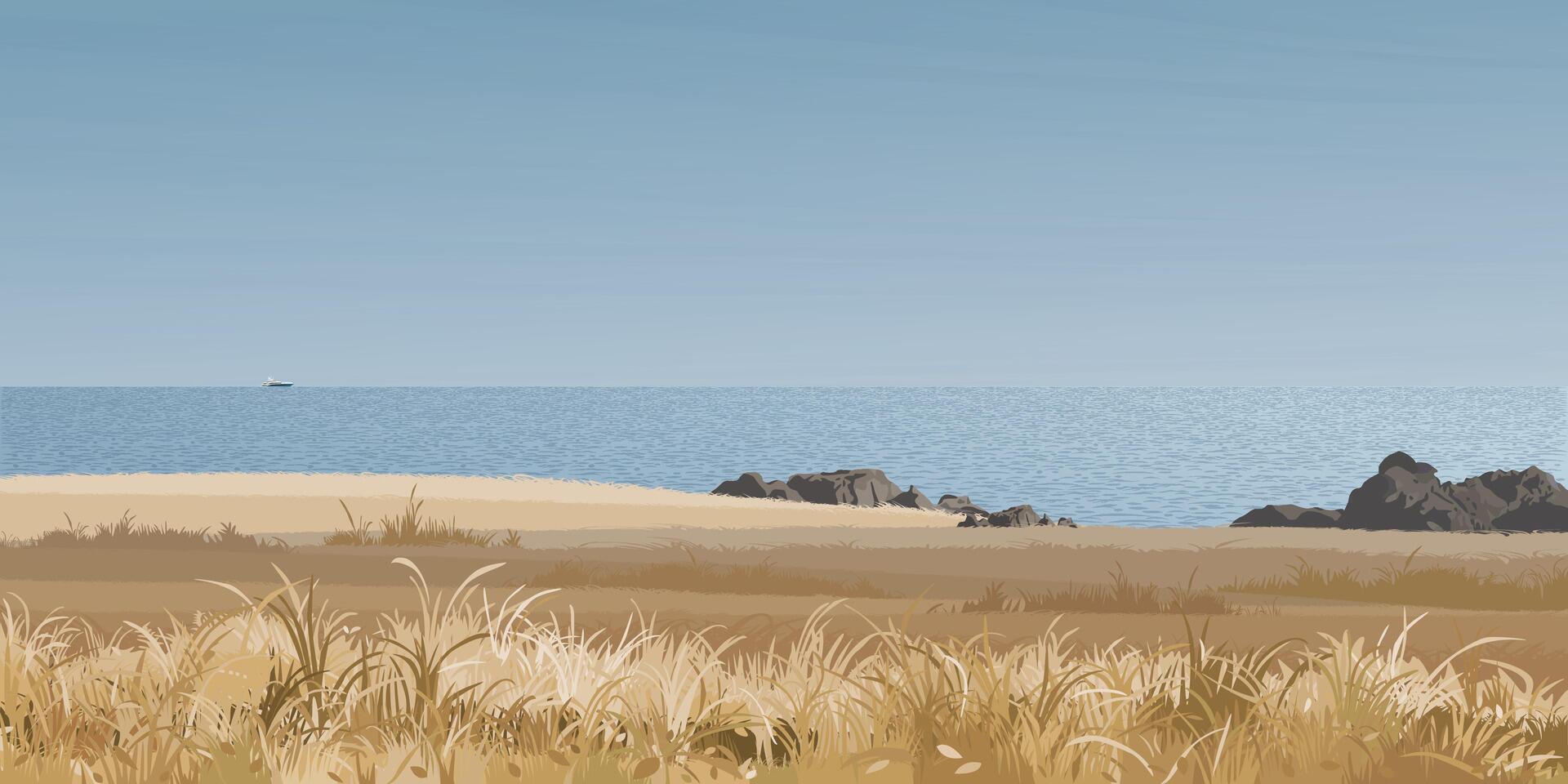 Seashore landscape with grass field in autumn season graphic illustration. Coastline have blue sky background. vector