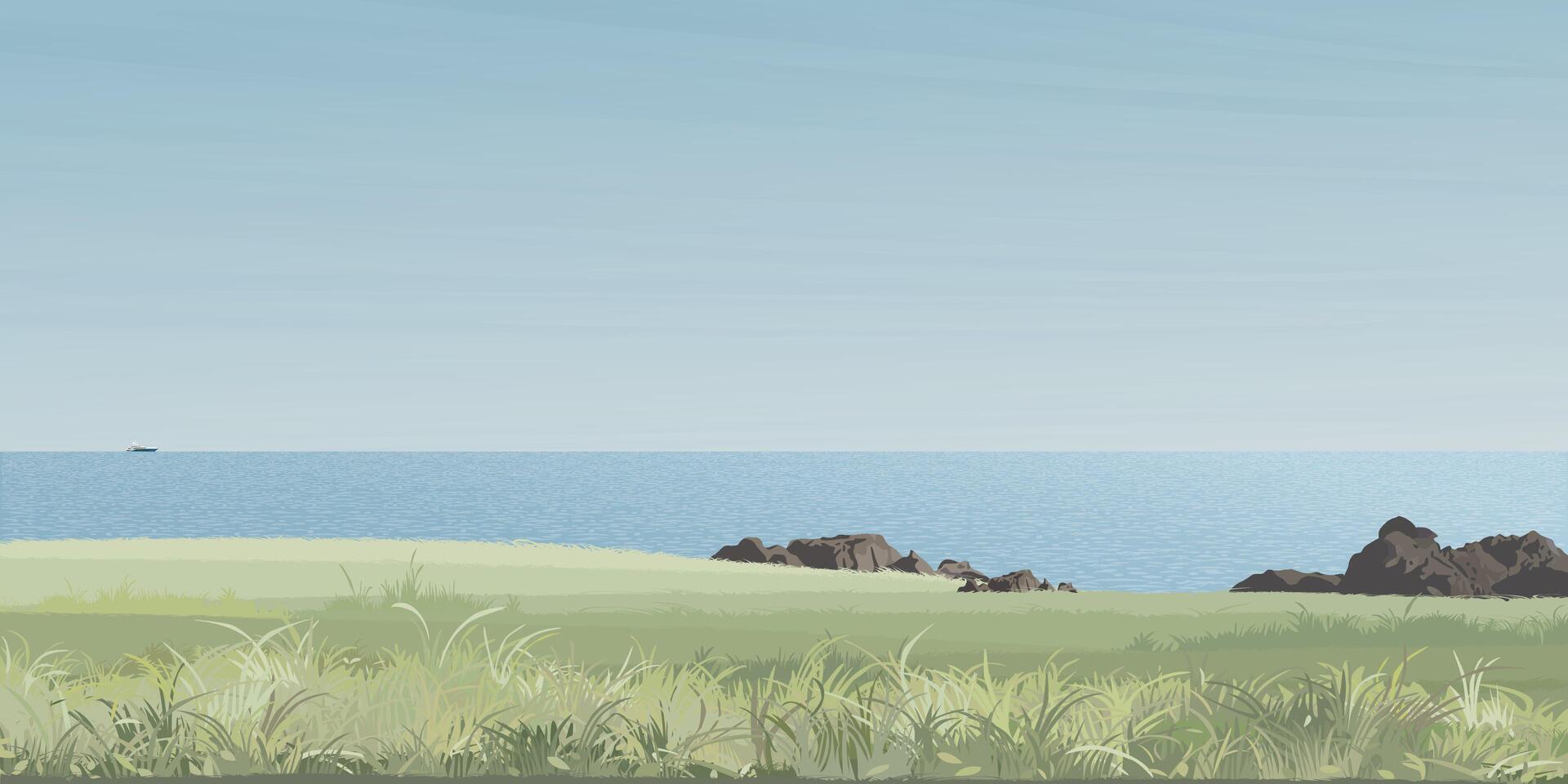 Seashore landscape with grass field graphic illustration have blank space. Coastline have blue sky background. vector
