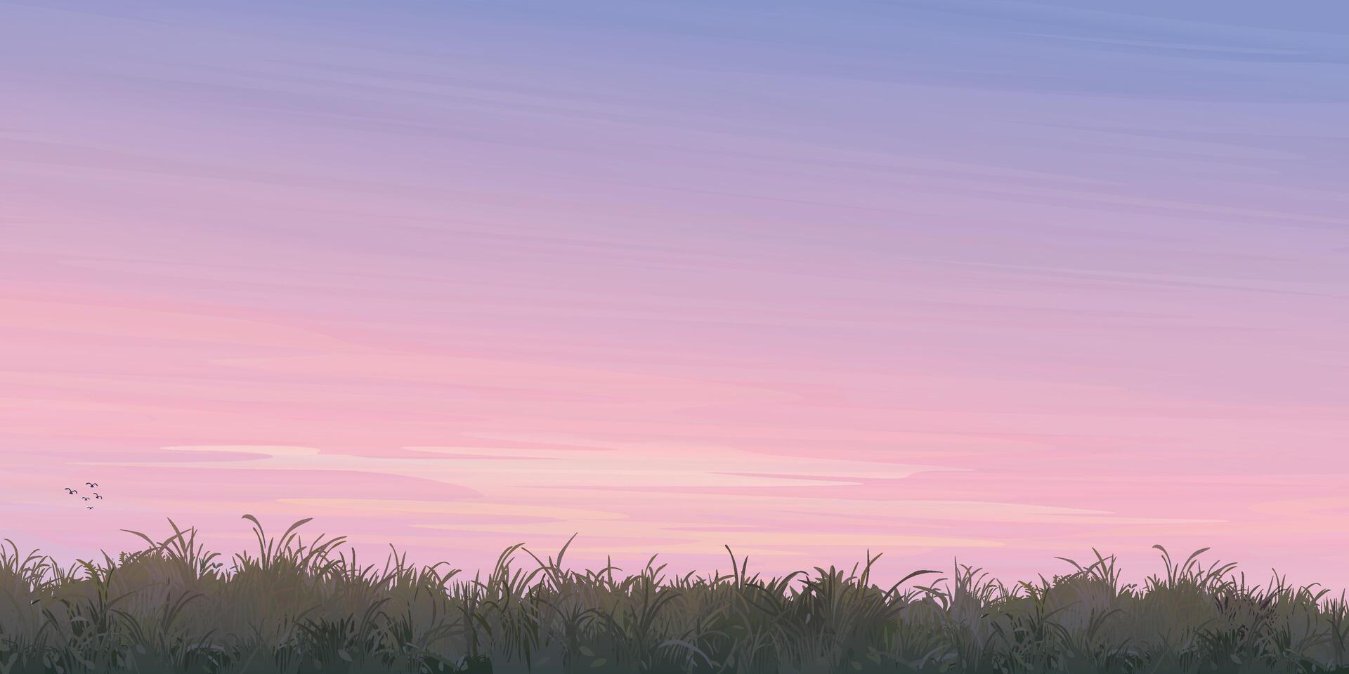 Silhouette grass field landscape graphic illustration have blank space at twilight sky background. vector