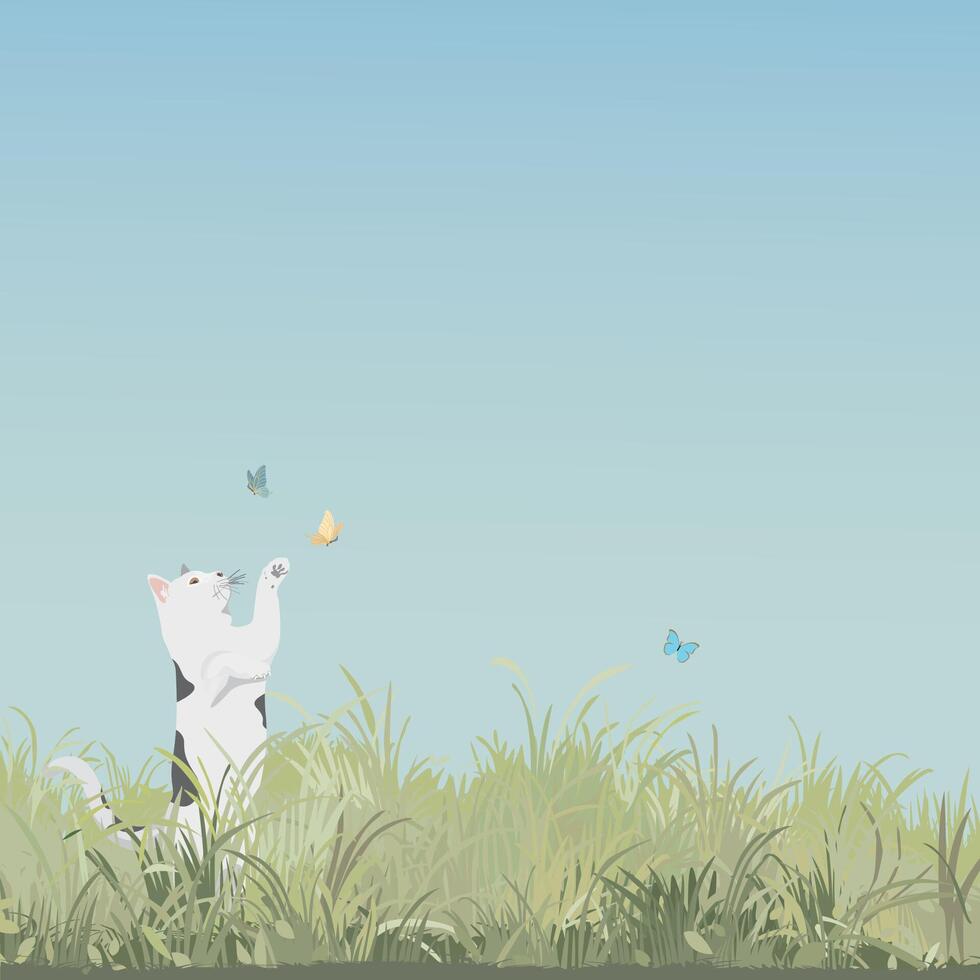 Grass field landscape with a cat playing with butterfly and blue sky square background graphic illustration have blank space. vector