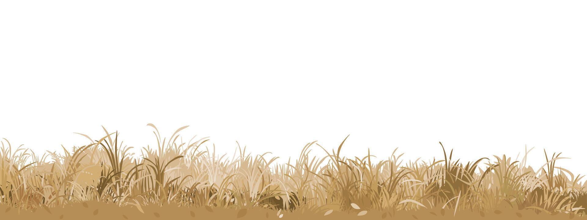 Grass in autumn season isolated flat design graphic illustrated on white background. Gold grass bushes side view object template. vector