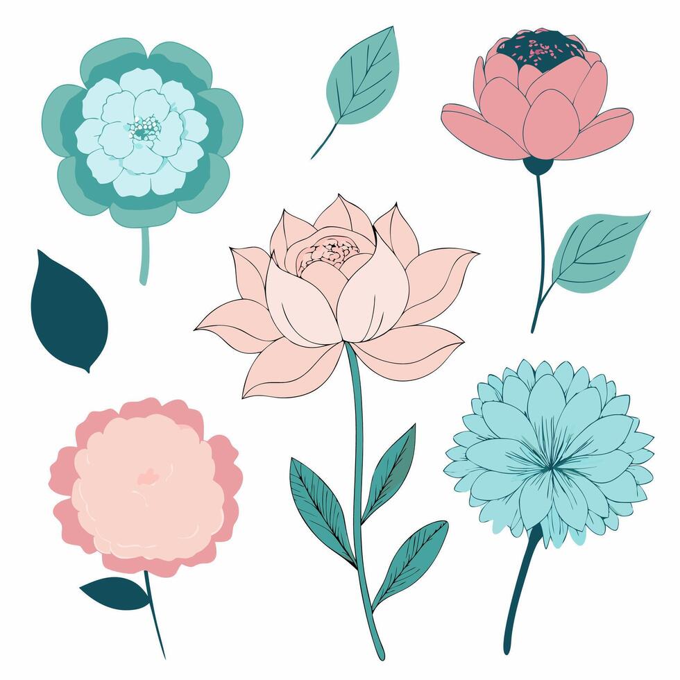 Hand draw flower. vector