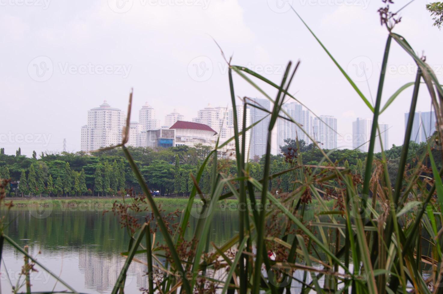 view of the lake with tall buildings behind the lake photo