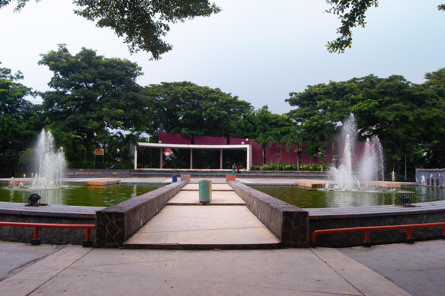 view of plants with fountain pond building photo