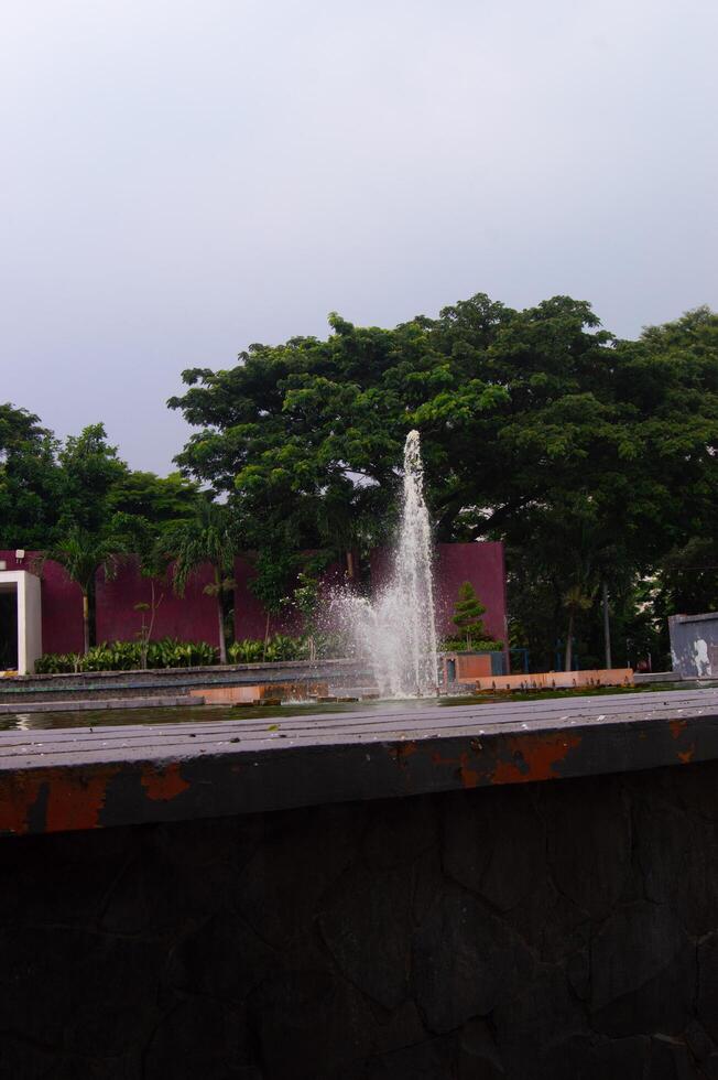 view of plants with fountain pond building photo
