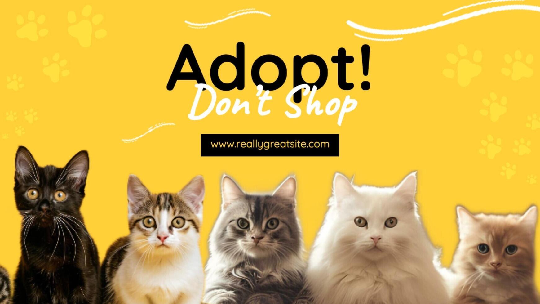 Free Cat Templates Download