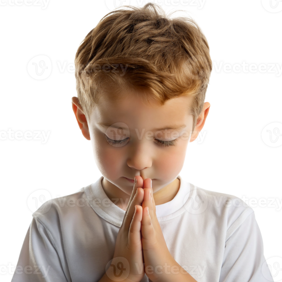 Young boy praying with hands clasped in reverence, wearing white shirt cut out isolated PNG transparent
