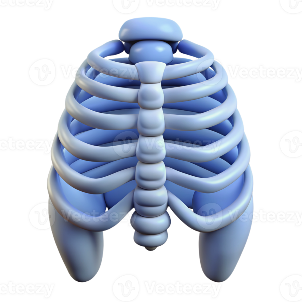 3d ícone do azul caixa toráxica anatomia para médico e educacional usar isolado png transparente fundo