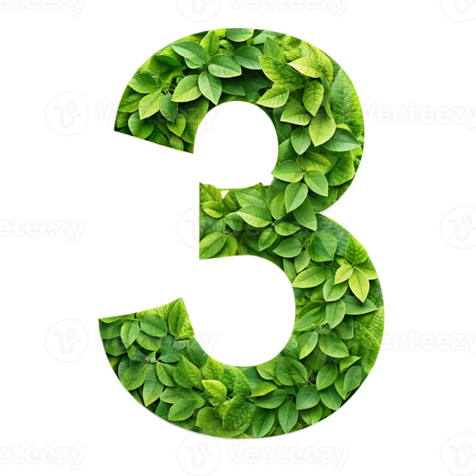 Number 3 made of green leaves cut out isolated PNG transparent