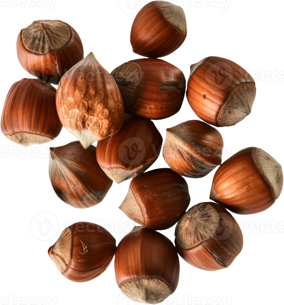 Pile of whole hazelnuts, cut out transparent png