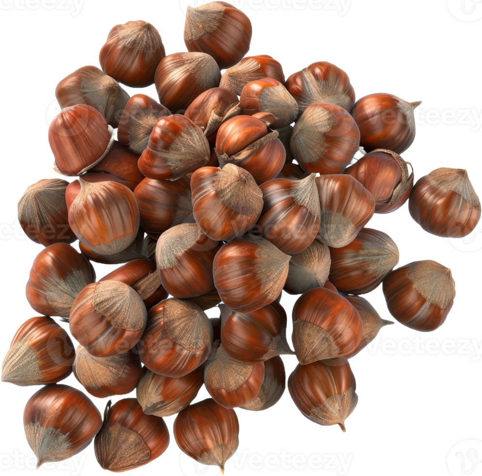 Pile of whole hazelnuts, cut out transparent png