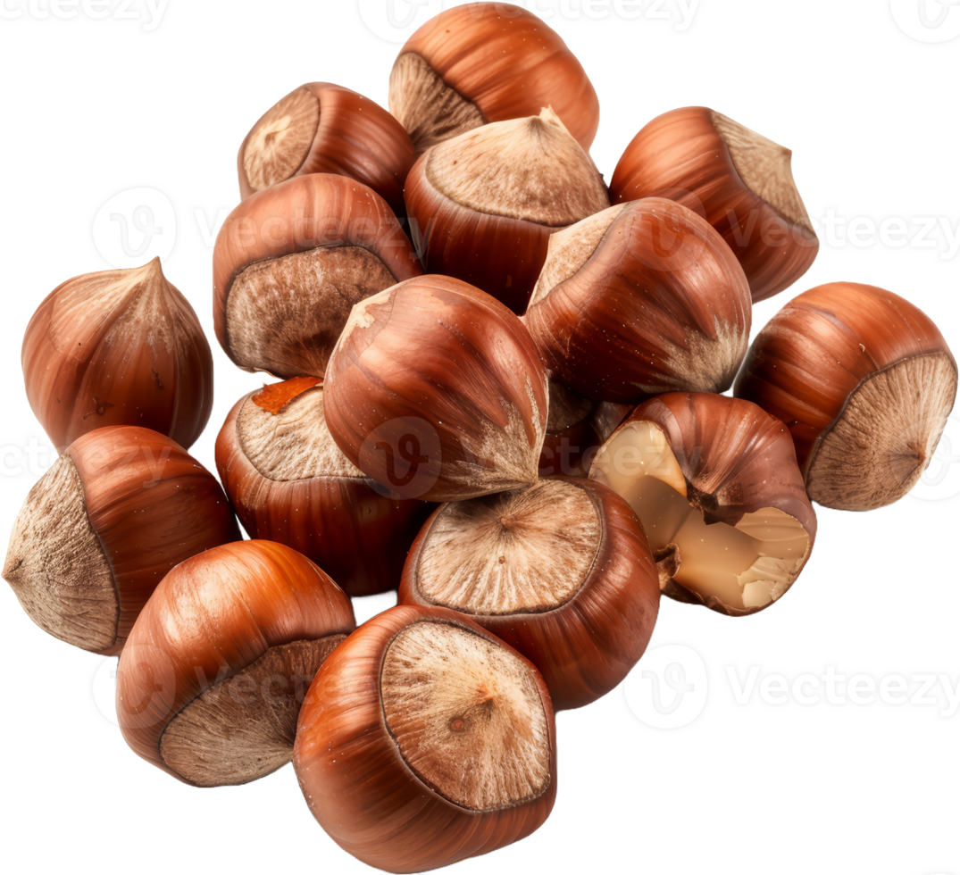 Pile of whole hazelnuts, cut out transparent png